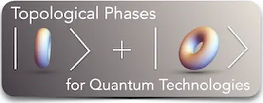 Harnessing topological phases for quantum technologies